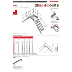Escalera puente industrial SP45 con plataforma 45° | Faraone