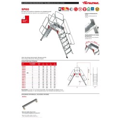 Escalera puente industrial SP60 con plataforma | Personalizable | Faraone
