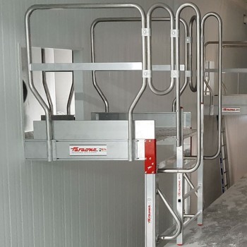 EM1113 | Pasarela de Cruce Profesional