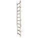 EM2001 | Escalera telecópica de acceso vertical en Fibra de Vidrio
