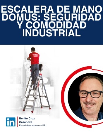 Escalera de Mano DOMUS: Seguridad y Comodidad Industrial